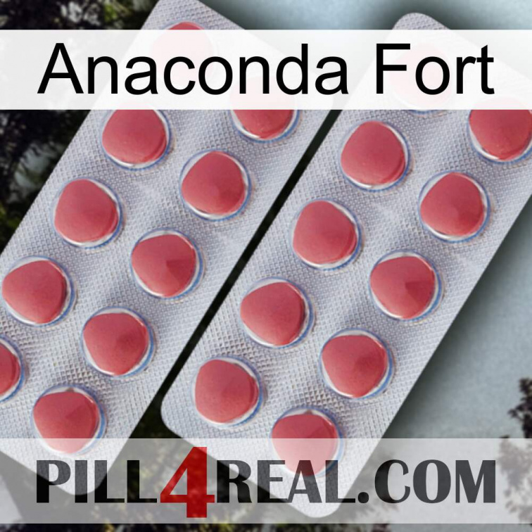 Anaconda Strong 19